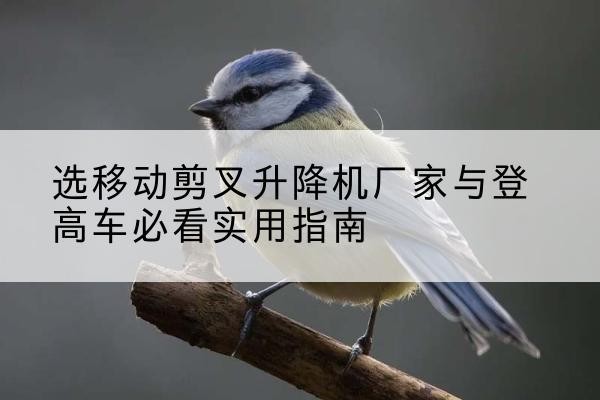 新和电动升降机厂家-选移动剪叉升降机厂家与登高车必看实用指南