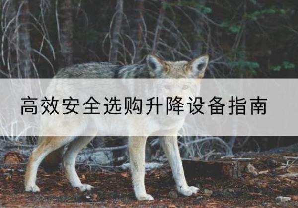 新和升降货梯厂家推荐-*安全选购升降设备指南