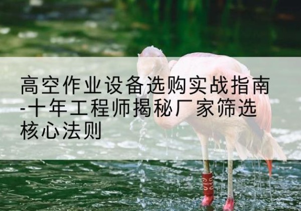 新和剪叉式升降机厂家-高空作业设备选购实战指南-十年工程师揭秘厂家筛选核心法则